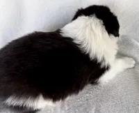 processed/3ade2eed-ebb1-4725-a0bb-4e44f3e5173d/listing/8035cfa9-1bea-4c46-bc27-00d622a2ece2/87339397-73d4-42d4-b75c-75642065e2d6