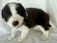 processed/3ade2eed-ebb1-4725-a0bb-4e44f3e5173d/listing/8035cfa9-1bea-4c46-bc27-00d622a2ece2/8cb78232-d499-45b8-acfe-b2260662e339