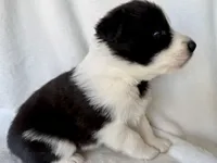 processed/3ade2eed-ebb1-4725-a0bb-4e44f3e5173d/listing/8035cfa9-1bea-4c46-bc27-00d622a2ece2/a293b775-6e96-429a-8f28-bb03119d56eb