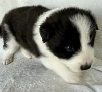 processed/3ade2eed-ebb1-4725-a0bb-4e44f3e5173d/listing/8035cfa9-1bea-4c46-bc27-00d622a2ece2/cae8d41d-b49b-4f12-9545-5e425776c5a4