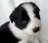 processed/3ade2eed-ebb1-4725-a0bb-4e44f3e5173d/listing/8035cfa9-1bea-4c46-bc27-00d622a2ece2/dba012a0-2eab-474f-996b-a5c4cce05a92