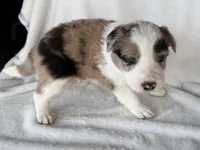 processed/3ade2eed-ebb1-4725-a0bb-4e44f3e5173d/listing/882f0a05-43e8-4276-9ad4-ca47c8174098/1981145f-9711-445b-90ef-0ad0929fd26f