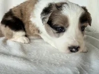 processed/3ade2eed-ebb1-4725-a0bb-4e44f3e5173d/listing/882f0a05-43e8-4276-9ad4-ca47c8174098/42404004-bc55-4c94-8b2d-06b8558823f4