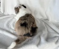 processed/3ade2eed-ebb1-4725-a0bb-4e44f3e5173d/listing/882f0a05-43e8-4276-9ad4-ca47c8174098/d81efa37-b3af-4174-af78-e213012aa55e