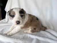 processed/3ade2eed-ebb1-4725-a0bb-4e44f3e5173d/listing/882f0a05-43e8-4276-9ad4-ca47c8174098/f2e5ab5b-a688-443f-8899-dd68ae544180