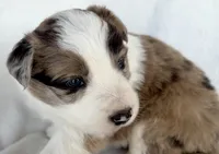 processed/3ade2eed-ebb1-4725-a0bb-4e44f3e5173d/listing/8e3c6776-865c-4bbd-a567-850cac95bc16/12f890df-a449-4b63-aa65-8f5b065934d9