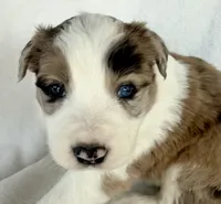 processed/3ade2eed-ebb1-4725-a0bb-4e44f3e5173d/listing/8e3c6776-865c-4bbd-a567-850cac95bc16/7522a227-b19d-4404-a6fd-f466ab8d4f70