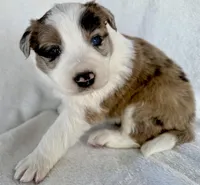 processed/3ade2eed-ebb1-4725-a0bb-4e44f3e5173d/listing/8e3c6776-865c-4bbd-a567-850cac95bc16/d6710a28-f17e-4b5c-88f6-bb411b522a9e