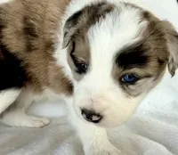 processed/3ade2eed-ebb1-4725-a0bb-4e44f3e5173d/listing/8e3c6776-865c-4bbd-a567-850cac95bc16/ef03ca81-233e-4d98-afc9-f279e525c3a8