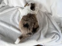 processed/3ade2eed-ebb1-4725-a0bb-4e44f3e5173d/listing/e0190654-4e4e-48cf-92d4-3fdf81743fbc/3819387a-fbb7-49e6-866e-57ca51800660