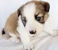 processed/3ade2eed-ebb1-4725-a0bb-4e44f3e5173d/listing/e0190654-4e4e-48cf-92d4-3fdf81743fbc/3a391808-edfa-4a18-8adc-f94ca0b89184