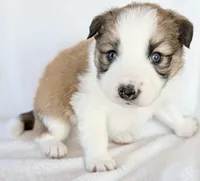 processed/3ade2eed-ebb1-4725-a0bb-4e44f3e5173d/listing/e0190654-4e4e-48cf-92d4-3fdf81743fbc/9681d8ae-6797-4cd4-803a-7e96054abb92