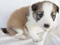 processed/3ade2eed-ebb1-4725-a0bb-4e44f3e5173d/listing/e0190654-4e4e-48cf-92d4-3fdf81743fbc/b0d9882e-a0f7-4baa-9701-3eb9e3285445