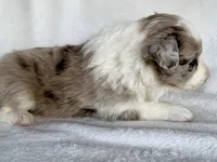 processed/3ade2eed-ebb1-4725-a0bb-4e44f3e5173d/listing/eb90db12-fbb1-40a3-927e-a3ae7fc5202a/06183e60-c52a-4b81-b64d-8ac6458c9b79