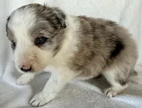 processed/3ade2eed-ebb1-4725-a0bb-4e44f3e5173d/listing/eb90db12-fbb1-40a3-927e-a3ae7fc5202a/23cf7c05-5b37-433e-8296-5b0a9b7aa926