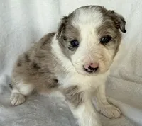 processed/3ade2eed-ebb1-4725-a0bb-4e44f3e5173d/listing/eb90db12-fbb1-40a3-927e-a3ae7fc5202a/2ede6b3c-beb0-4337-b27e-f2d6d1483056