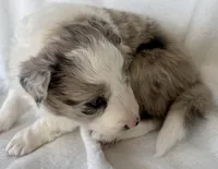 processed/3ade2eed-ebb1-4725-a0bb-4e44f3e5173d/listing/eb90db12-fbb1-40a3-927e-a3ae7fc5202a/3d9ac270-4616-4724-8ba0-c9251ab710ef