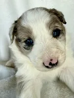 processed/3ade2eed-ebb1-4725-a0bb-4e44f3e5173d/listing/eb90db12-fbb1-40a3-927e-a3ae7fc5202a/86670889-b012-4b3c-9801-72d06808676a