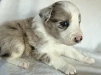 processed/3ade2eed-ebb1-4725-a0bb-4e44f3e5173d/listing/eb90db12-fbb1-40a3-927e-a3ae7fc5202a/ab6d1619-f8e9-4a58-82de-bb1254f0da27