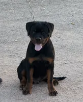 processed/3ae5de5d-5ba2-4144-b0dd-4fbb41acb747/listing/519a7892-225f-42ee-b411-251662c8bc26/1a8d837e-28c2-42ed-ba26-051bcbbdf716