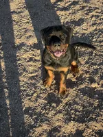 processed/3ae5de5d-5ba2-4144-b0dd-4fbb41acb747/listing/519a7892-225f-42ee-b411-251662c8bc26/1f37cff9-ca67-41ac-8a9e-dafaafb45bd7