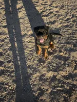 processed/3ae5de5d-5ba2-4144-b0dd-4fbb41acb747/listing/519a7892-225f-42ee-b411-251662c8bc26/5fd1fbdf-bb74-408d-bbfa-0a49caa59ef1