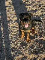 processed/3ae5de5d-5ba2-4144-b0dd-4fbb41acb747/listing/519a7892-225f-42ee-b411-251662c8bc26/99c741b1-80dd-464b-92c2-ef7bc9b9e7cc