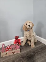 processed/3aeaf467-6798-4476-9911-d92284118d88/listing/708f05b4-1683-4287-a094-049e1e565156/2b5a9e39-f637-4c28-8b50-7f89fb8aaca7