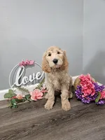 processed/3aeaf467-6798-4476-9911-d92284118d88/listing/708f05b4-1683-4287-a094-049e1e565156/78992242-1568-4231-b9ee-2f741a725c85