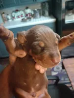 processed/3af55fcd-37e3-41fc-a111-6e1122c3315f/listing/082f5921-73ea-4d27-b480-5b9cc1ab7552/6be27def-8ab7-49d9-9ad8-9957b1da5311