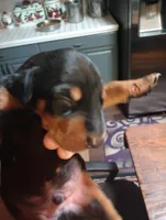 processed/3af55fcd-37e3-41fc-a111-6e1122c3315f/listing/69fb2e2f-3d73-424a-8267-df7eeb715004/3b23d018-8e83-41a2-b77e-ec67f472ec1f