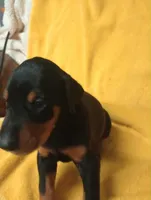 processed/3af55fcd-37e3-41fc-a111-6e1122c3315f/listing/69fb2e2f-3d73-424a-8267-df7eeb715004/98c8b8ed-ddf5-44e4-af2b-9ec3a6b81258