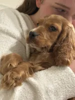 processed/3afa0e14-4725-4e18-978c-8f353a35d87d/listing/105004d6-366c-490c-8d7f-21337e9aa63f/2a032822-c351-4228-a6dd-85e1094e8cfb