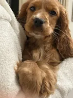 processed/3afa0e14-4725-4e18-978c-8f353a35d87d/listing/105004d6-366c-490c-8d7f-21337e9aa63f/8fddb13e-7f3d-484c-9775-753fd3996807