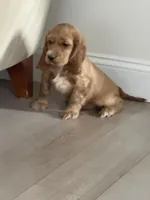 processed/3afa0e14-4725-4e18-978c-8f353a35d87d/listing/105004d6-366c-490c-8d7f-21337e9aa63f/f33a6479-ab26-4473-9d92-fc5743e99cf1