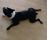 processed/3b026479-021d-44e6-987d-a16fe42e0472/listing/42c6fe9e-6267-4791-b529-ce9565d8cd80/7182098d-9e75-42a7-890e-c729874baa8b