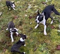 processed/3b026479-021d-44e6-987d-a16fe42e0472/listing/52691eeb-a81e-467c-8937-785ddffd3df0/4a19294e-4014-4a72-9288-a68ee898085d