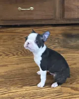 processed/3b026479-021d-44e6-987d-a16fe42e0472/listing/52691eeb-a81e-467c-8937-785ddffd3df0/aba56309-15e7-4416-8e9f-0598e079ad82