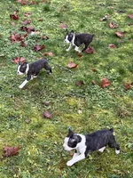 processed/3b026479-021d-44e6-987d-a16fe42e0472/listing/bd877c95-af58-4a60-85db-24a1e274f548/f3f87b80-b442-4329-b4d8-b64a56306761