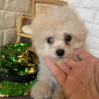 processed/3b054e38-0a51-4c46-9f64-e10c9b17f80c/facility/593537f0-4dde-4869-8c21-9ca8a31c05b6