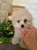 processed/3b054e38-0a51-4c46-9f64-e10c9b17f80c/facility/593537f0-4dde-4869-8c21-9ca8a31c05b6