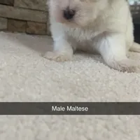 processed/3b054e38-0a51-4c46-9f64-e10c9b17f80c/facility/8b8a431e-5c43-4558-be2a-91792be35d3c