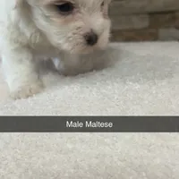 processed/3b054e38-0a51-4c46-9f64-e10c9b17f80c/facility/aa57f523-adfa-4c25-9e4f-14bf6ae6d4eb