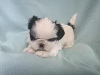 processed/3b055203-a1e0-4fa4-859f-c94719654aed/listing/83a45430-463e-42d0-bb20-e5ee776b7eff/130277ab-148e-41c6-b3ad-762aab8bdbc6