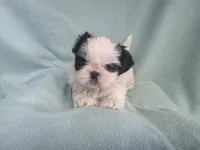 processed/3b055203-a1e0-4fa4-859f-c94719654aed/listing/83a45430-463e-42d0-bb20-e5ee776b7eff/7674f494-2704-4d65-b2a9-9b2e55cd9ea6