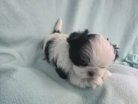 processed/3b055203-a1e0-4fa4-859f-c94719654aed/listing/83a45430-463e-42d0-bb20-e5ee776b7eff/9efbc4e2-558b-4957-9238-d58148ed8a0c