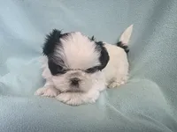 processed/3b055203-a1e0-4fa4-859f-c94719654aed/listing/83a45430-463e-42d0-bb20-e5ee776b7eff/a3a7007f-ec07-40cd-8bb3-66eea6c8af44