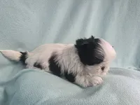 processed/3b055203-a1e0-4fa4-859f-c94719654aed/listing/83a45430-463e-42d0-bb20-e5ee776b7eff/b44e57ff-f636-4149-a20a-211d396f4075