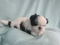 processed/3b055203-a1e0-4fa4-859f-c94719654aed/listing/83a45430-463e-42d0-bb20-e5ee776b7eff/d2ca4f73-4cea-46bc-a409-d3a94db98e94