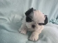 processed/3b055203-a1e0-4fa4-859f-c94719654aed/listing/83a45430-463e-42d0-bb20-e5ee776b7eff/f466b90b-c2b9-41e2-b8bb-9d42016a5724